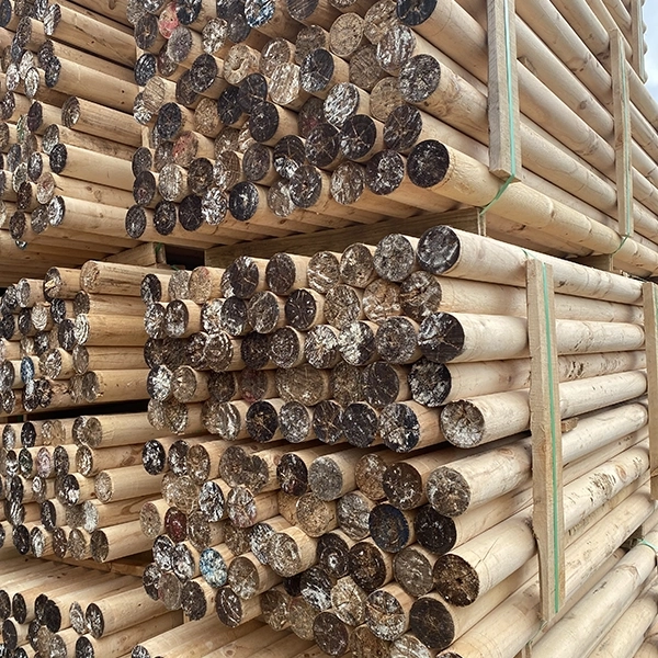 Fotografía de Rolletes Aurelia Preservación