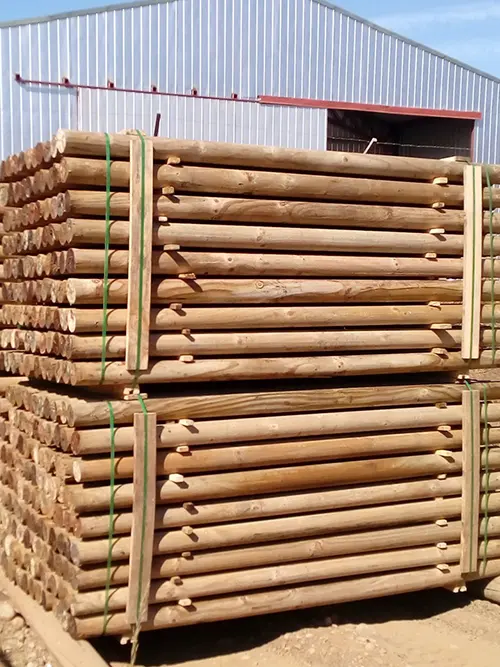 Rolletes de Aurelia Preservación